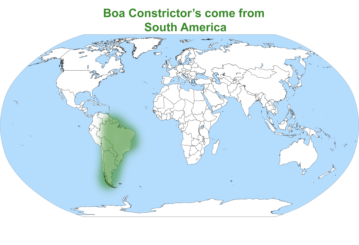Boa Constrictor map