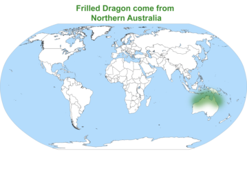 Frilled Dragons map