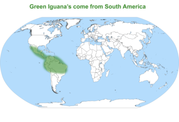 Red & Green Iguana map