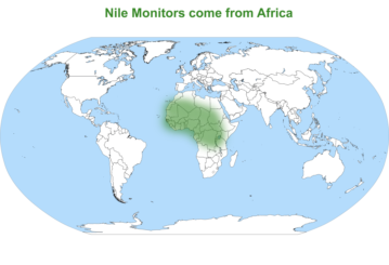 Nile Monitor map