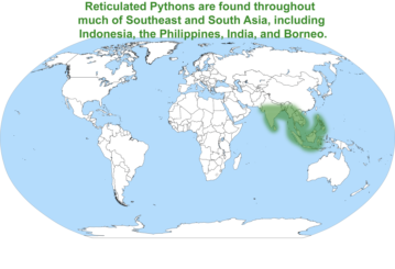 Reticulated Python map